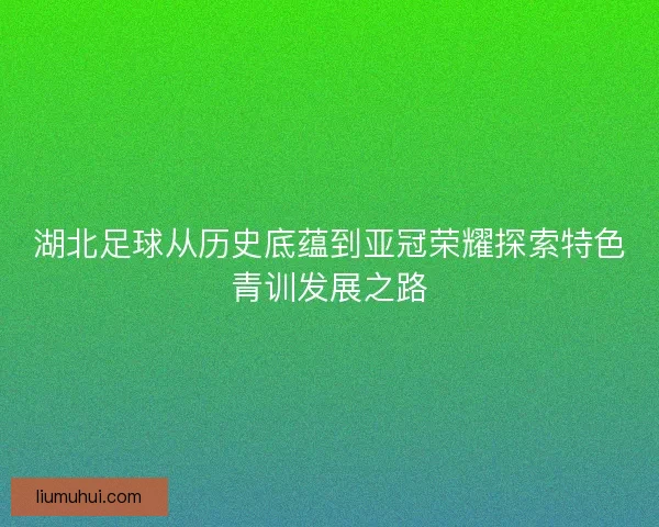 湖北足球从历史底蕴到亚冠荣耀探索特色青训发展之路