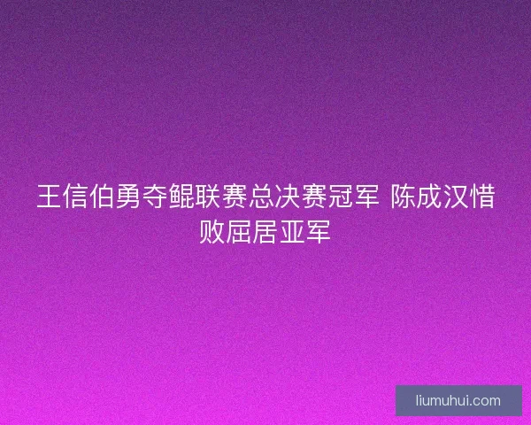 王信伯勇夺鲲联赛总决赛冠军 陈成汉惜败屈居亚军
